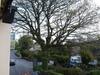 Bed & Breakfast Manor Inn Galmpton