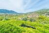 Villa Cas Patro Lau Bis
