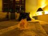 Albergue Amazonia Guest House