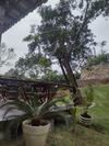 Hostal Recanto Da Ferradura