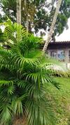 Hotel Pousada Lopetxea