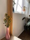 Hostal Selena Dalat Homestay