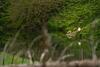 Agroturismo Mahaanui Quarters Farmstay