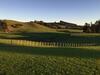 Hostal Veld View Bed And Breakfast