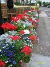 Bed & Breakfast Trentham Guest House