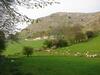 Panorama Cottages