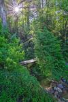 Shaw Creek Cottage With Fire Pit And Forest Views