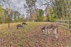 Apartamento Rustic Farm Stay In A Hendersonville Studio!