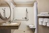 Hotel Springhill Suites Dulles Airport