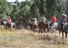 Hotel Zion Ponderosa Vacation Rentals