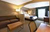 Hotel Holiday Inn Express Houston North Spring Area