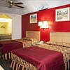 Motel Palace Inn And Suites Willowbrook