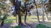 903 Inverness Village