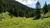 Chalet La Plagne