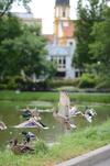 Hotel Th�ringen