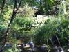 Apartamento Fewo Spitzweg, Garlstorf - L�neburger Heide