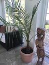 Apartamento Elisabethhills