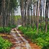 Bed & Breakfast Au ' Bord Des Landes '