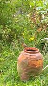 Rob�s Place