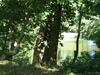 Apartamento Ferienwohnung Mit Brockenblick