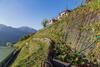 Bed & Breakfast Alveare Sul Lago