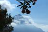 Bed & Breakfast Villa Verdesca