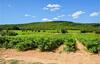 Four-bedroom Holiday Home In Uzes