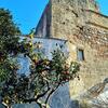 Bed & Breakfast Palazzo Frangipane