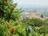 La Bastia Hotel & Resort