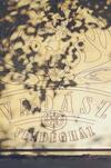 Hostal Vincze Vad�sz Vend�gh�z