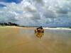 Natal Casa de Playa Paraiso