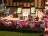 Am�lia Apartman