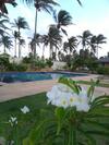 Hostal Vila Saguaro