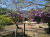 Hostal Hospedaria V� Schutz 2