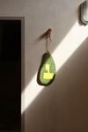 Albergue La Pandilla Ibiza
