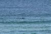 Southerncross Beach House With A Million Dollar View