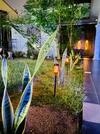 Villa Rooftop Garden Cottage