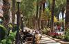 Holiday Home C/ De La Camamil 16, Casa