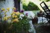 Bed & Breakfast Lawendowa Stajnia