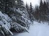 Club de Chasse Et P�che Tadoussac