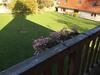 Hostal Les Charmes Du Petit Pr�