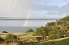 Cooks Beach House Home