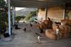 Beautiful Villa In Paradise Syros Greece