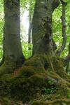 Apartamento Natur-aktivhof Thiem
