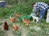 Bed & Breakfast Sans Parure : Chambre D'h�te