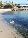 Apartamento Studio Standing Bord de Mer Et Vue
