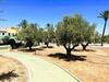 Villas Rurales Arroyovil 28 Ideal Familias
