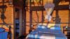 Bed & Breakfast Caba�as Minca Sintropia