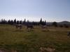Agroturismo Cortijo Ferradores