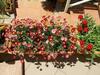 Holiday House Torre Di Manfria